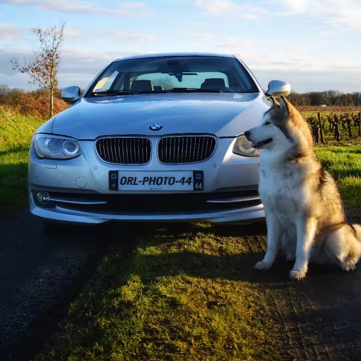 Rebelle 🩵💙❤️