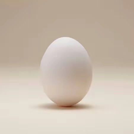 egg 🥚🍳☠️🪽