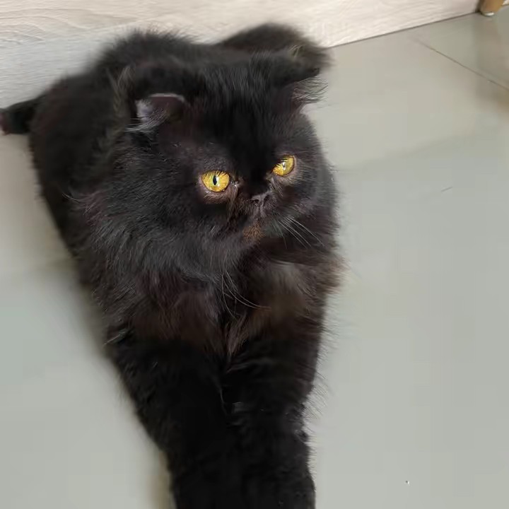 อะไร คือ แต๊บแมน