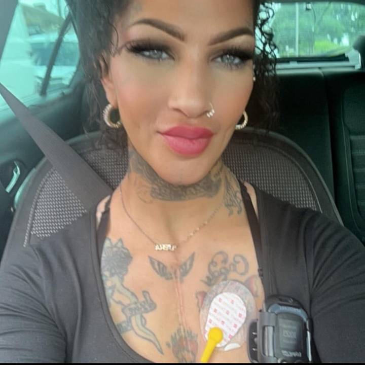 paradise of wax melts