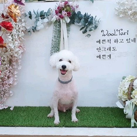 시아서아맘🥰🤗