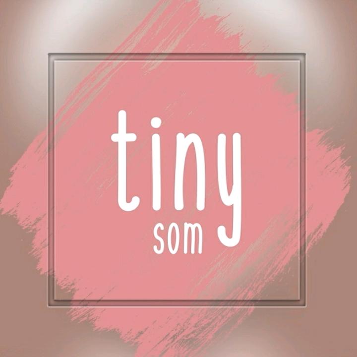 tinysom타이니솜