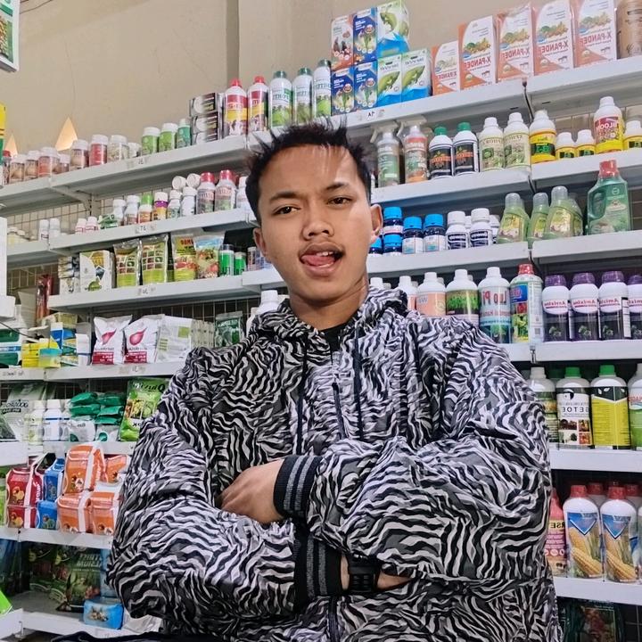 𝕽𝕴𝕻𝕬𝕻𝕰𝕽𝖂𝕬𝕹𝕬215