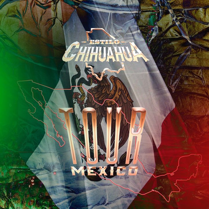 EstiloChihuahuaOficial