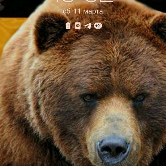 Максим Шолупов