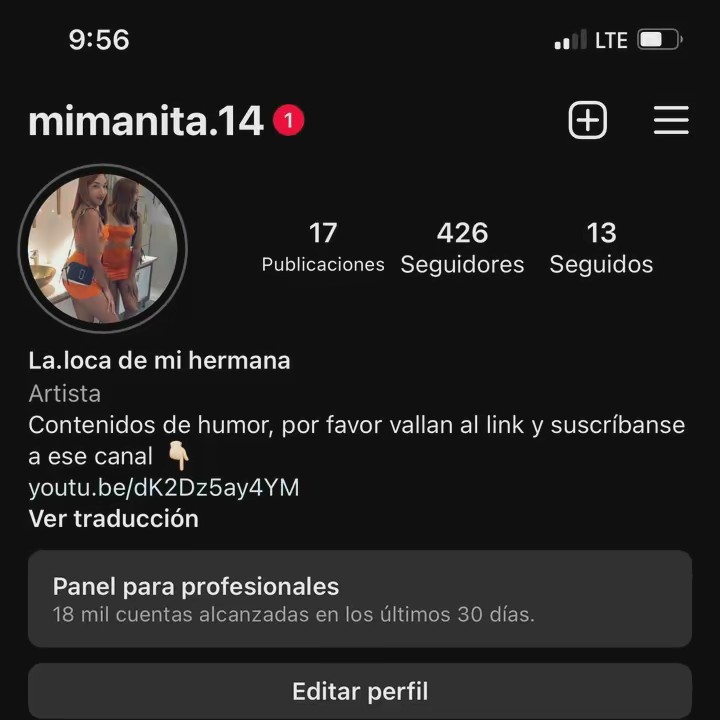 La loca de mi hermana