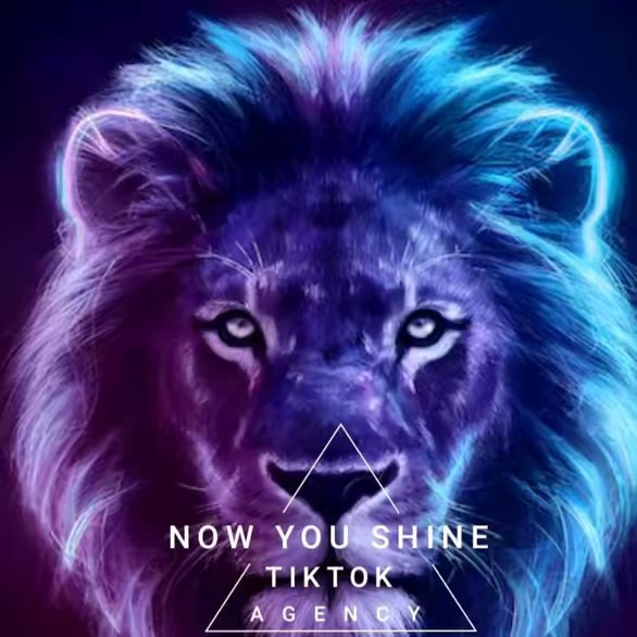 AGENCIA NOW YOU SHINE LATAM