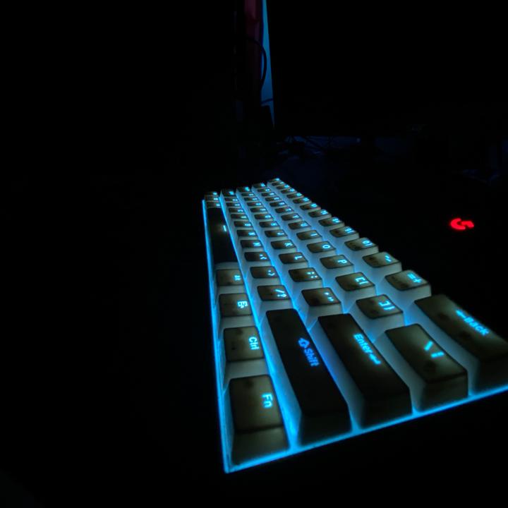 Lil Schrote 🍊👑