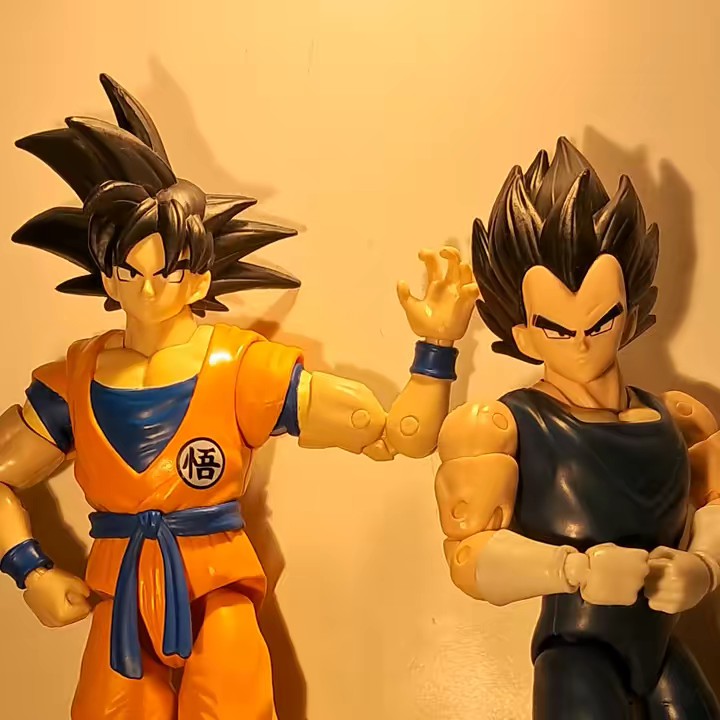 Goku and Vegeta