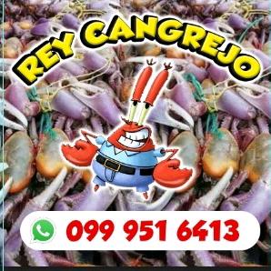 REY CANGREJO