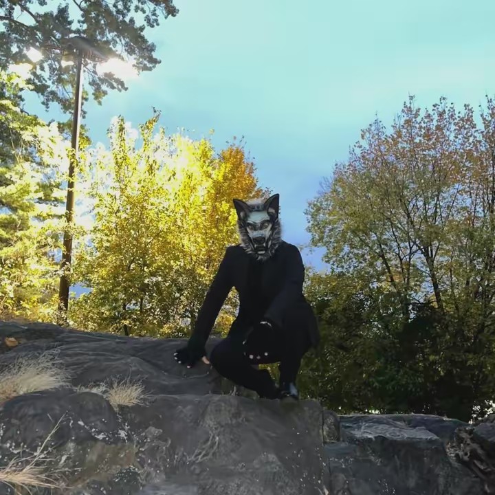 𝕲𝖚𝖘𝖙𝖆𝖛𝖔.𝖒𝖎𝖗𝖆𝖓𝖉𝖆1