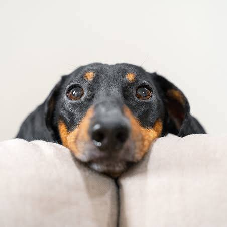 戌🐾 .*低浮　18☝︎