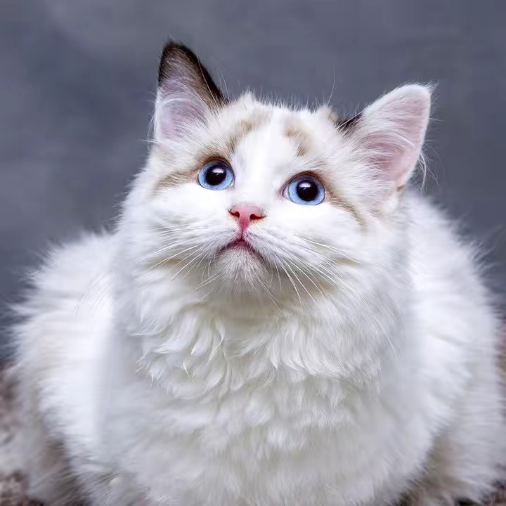 เจ้ปอรีวิวของกินของใช้ในบ้าน