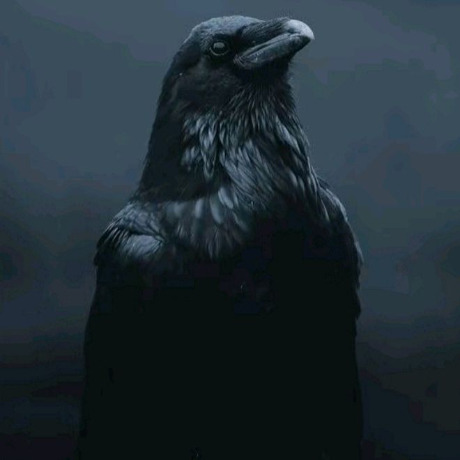 𝑮𝒂𝒈𝒂𝒌 𝑯𝒊𝒕𝒂𝒎