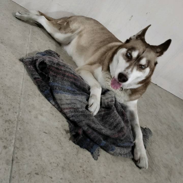 Hugo Diaz De Leon Galvan Jr.