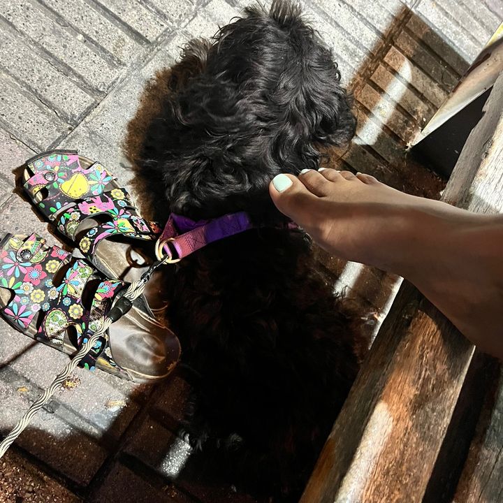 Kaïpoh 🚺💜💟👿