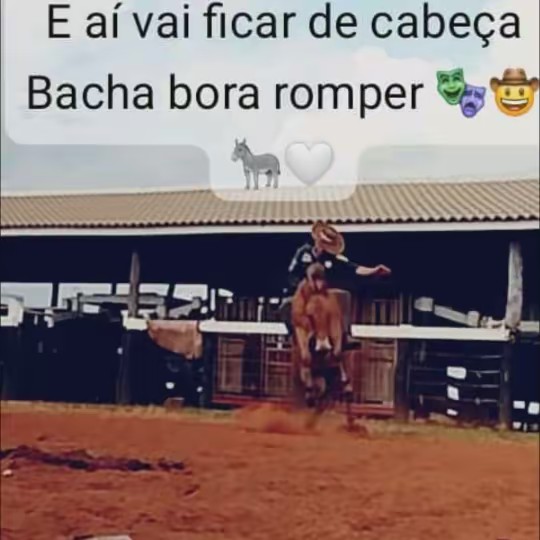 Jacaré🤠🐊🐂🐎