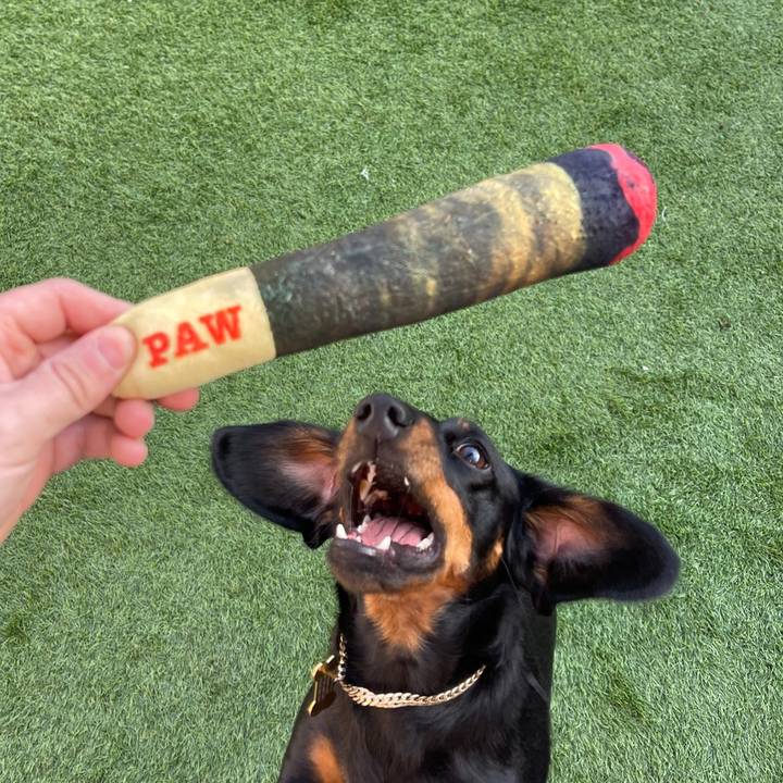 Doggie Smokes