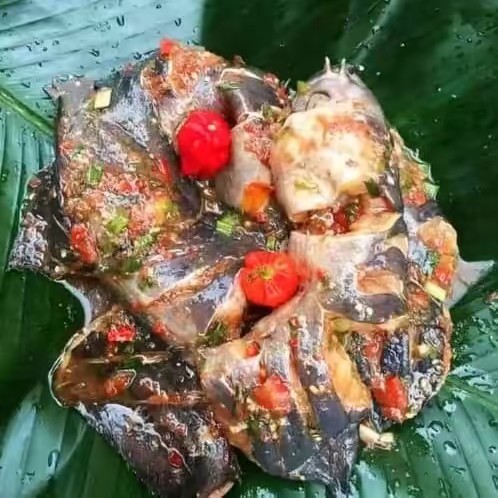 Ⱀ౹ӄ౹ᥒ ғ꤀ɾ ⱀმιმᖯმ