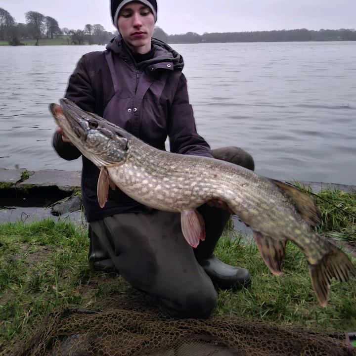 Multi Species Madness 🎣