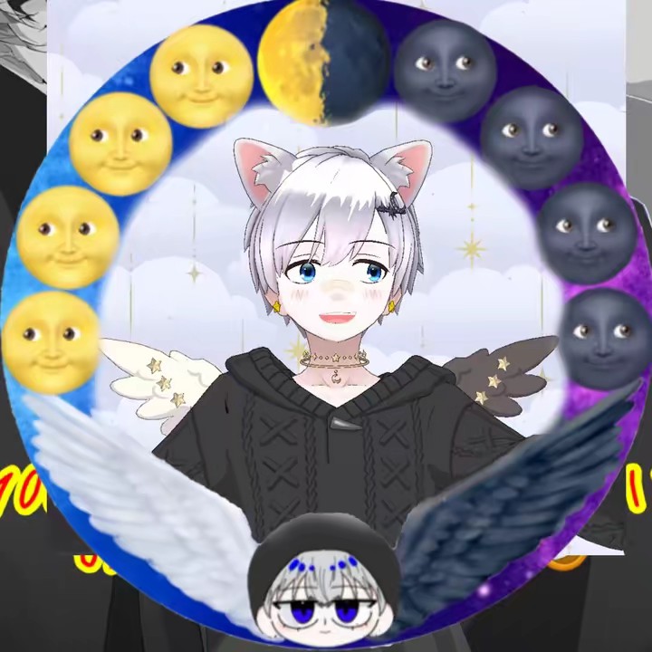 🌝如月ライト🌚(元ヤン)