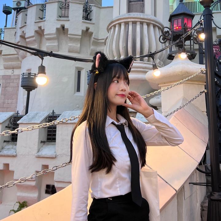 aranginkorea🐰🇰🇷