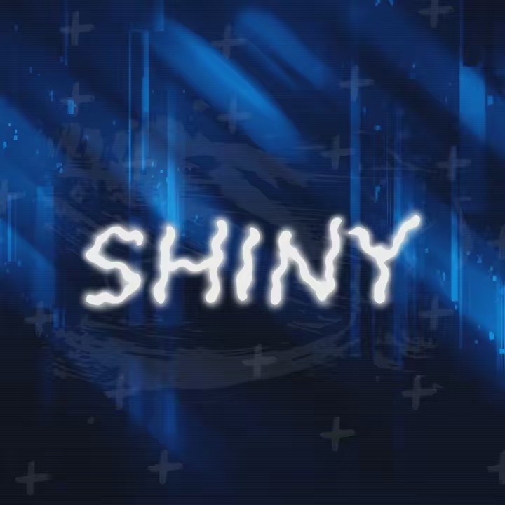 ☀️Summer Shiny☀️