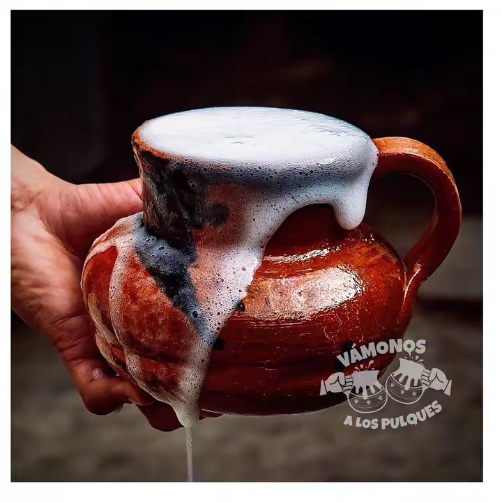 Vámonos a los Pulques