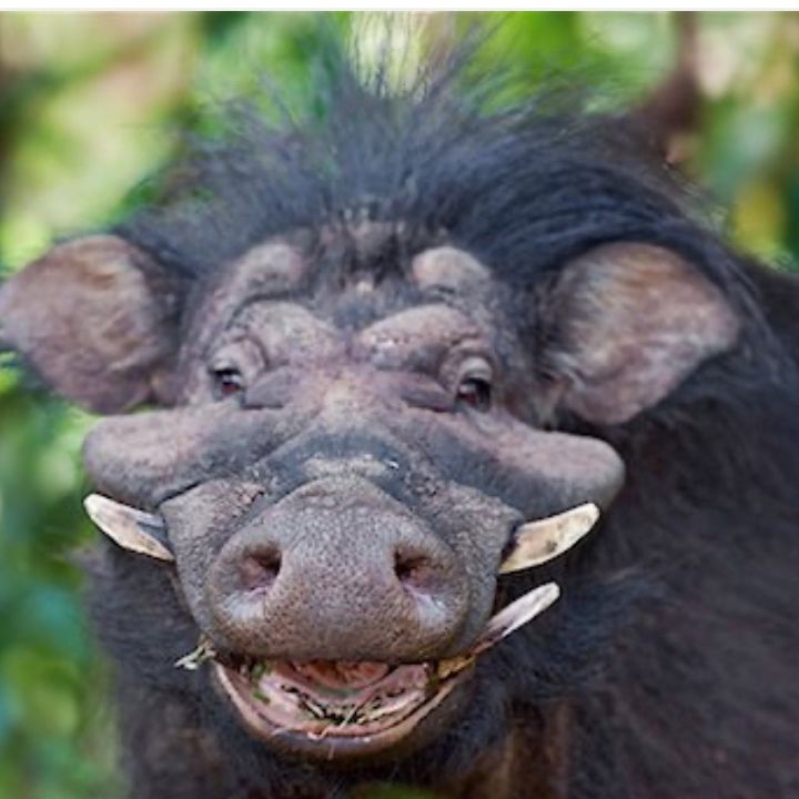 alex🏀✝️🏀✝️