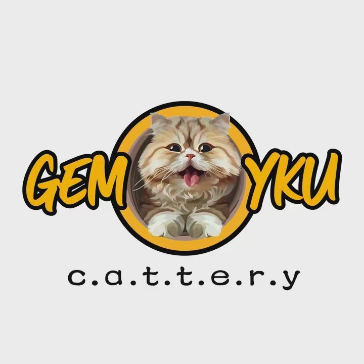 Gemoyku Cattery Semarang