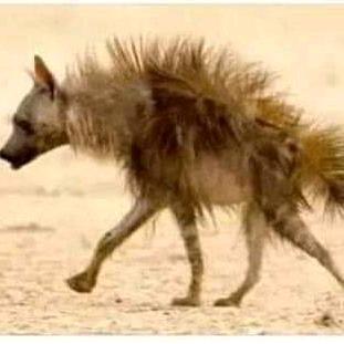 🚜🚜TAKUMA🚜🚜