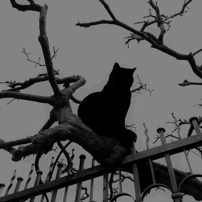 surviving by reading