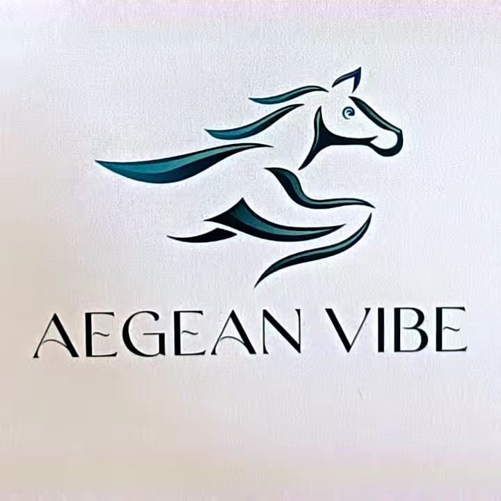 AEGEAN VİBE