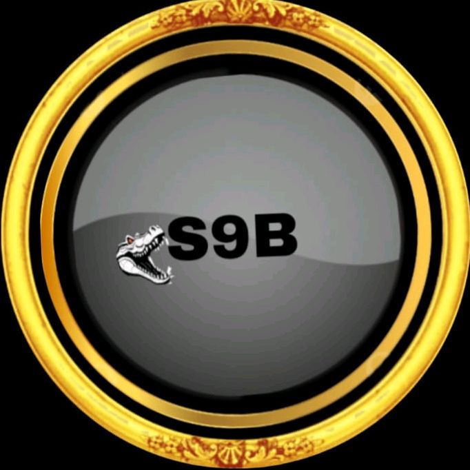 🅳🆈🅻🅰🅽...𝙎9𝘽🥷