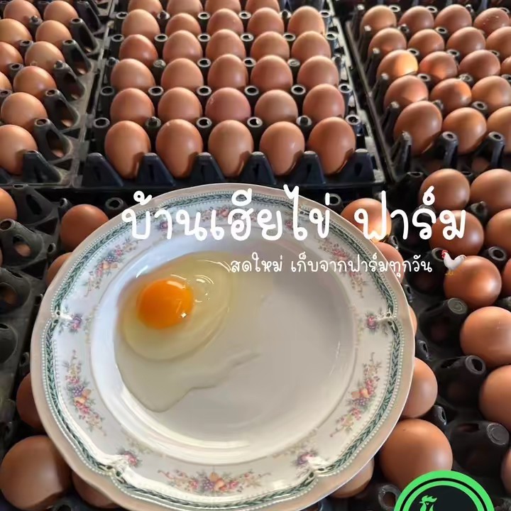 บ้านเฮียไข่ V.1