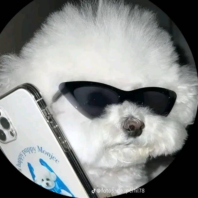 Felipeᠵ᠊ᡃ່࡚ࠢ࠘ ⸝່ࠡࠣ᠊߯᠆ࠣ╦╤──