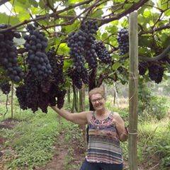 Laura Aparecida Garc