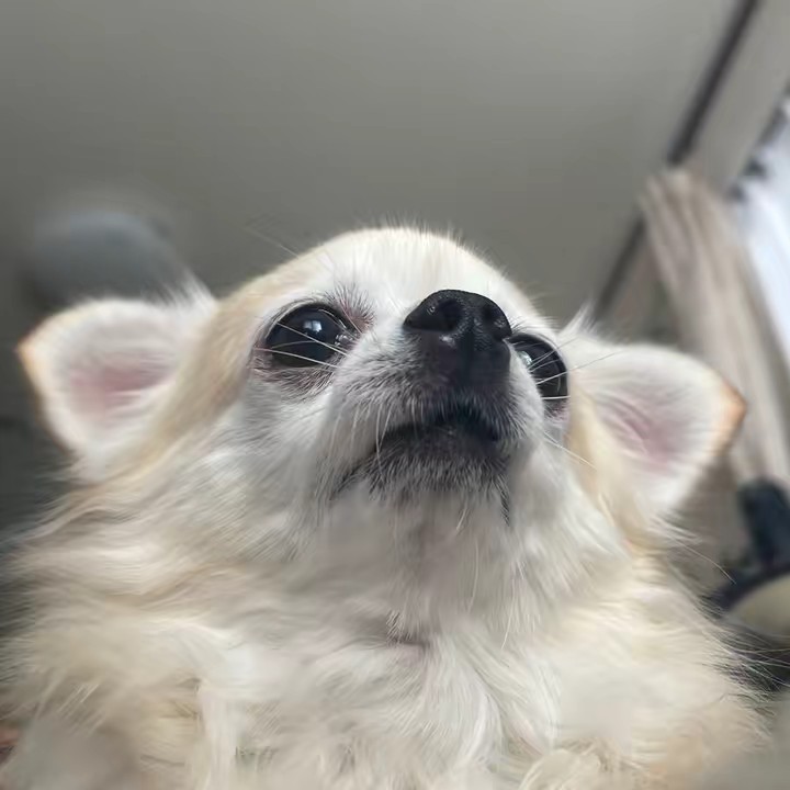 なの🥀￤来世は美少女￤