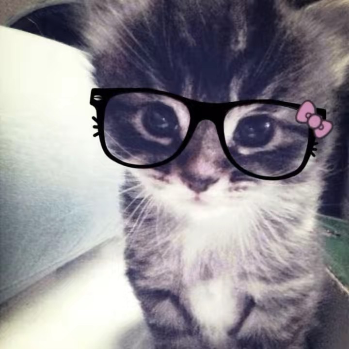 Caner‘s schöne Augen 🫶🏼👀