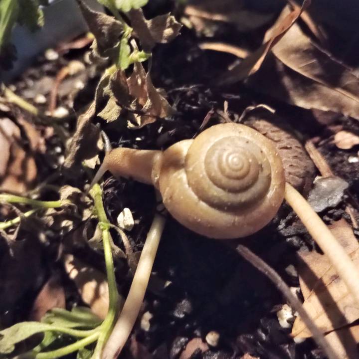 Insert.cool.name.here