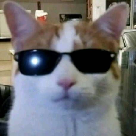 🌺🎧Our.tiktok.Account🎧🌺