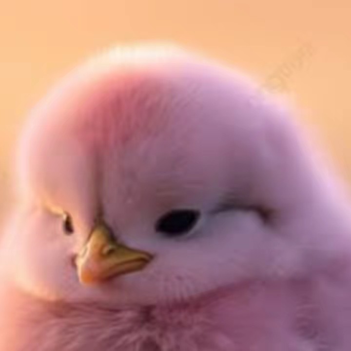 トムとジェリー🐙♨️