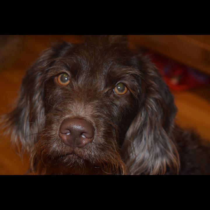 cherry blossom🍄🍄🌸