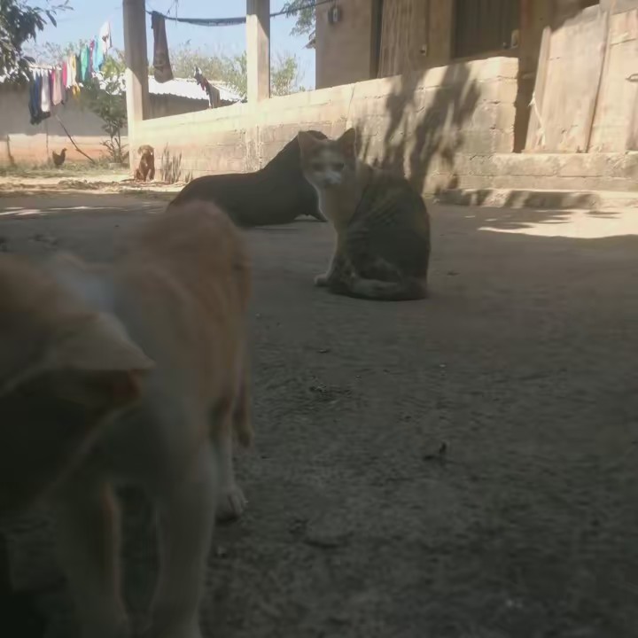 Carlos y lupis carrasco