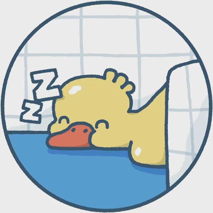 ducks_in_space🪿🪿💦