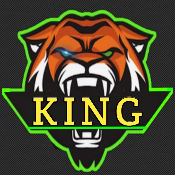 TIGeR KING YT
