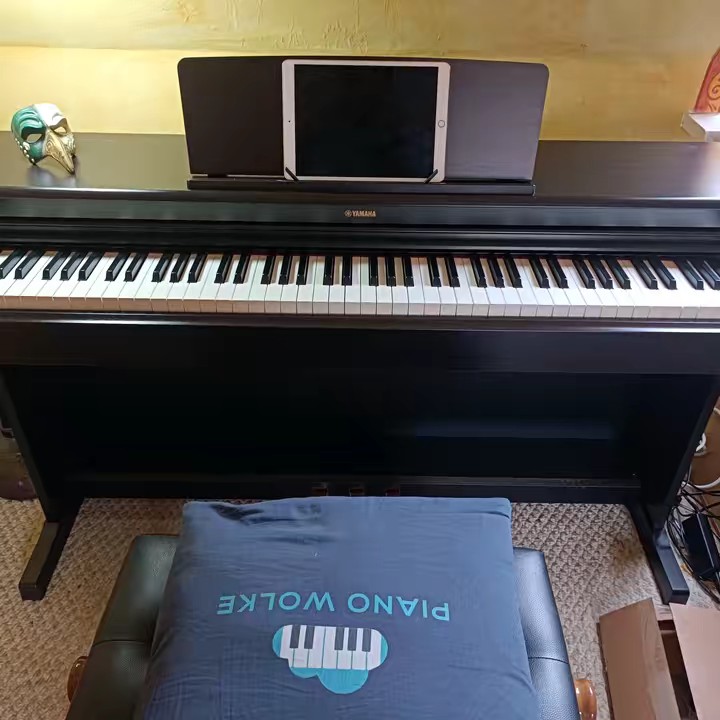 Renie auf der Pianowolke