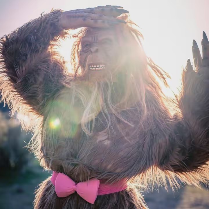 Bigfoot Bae