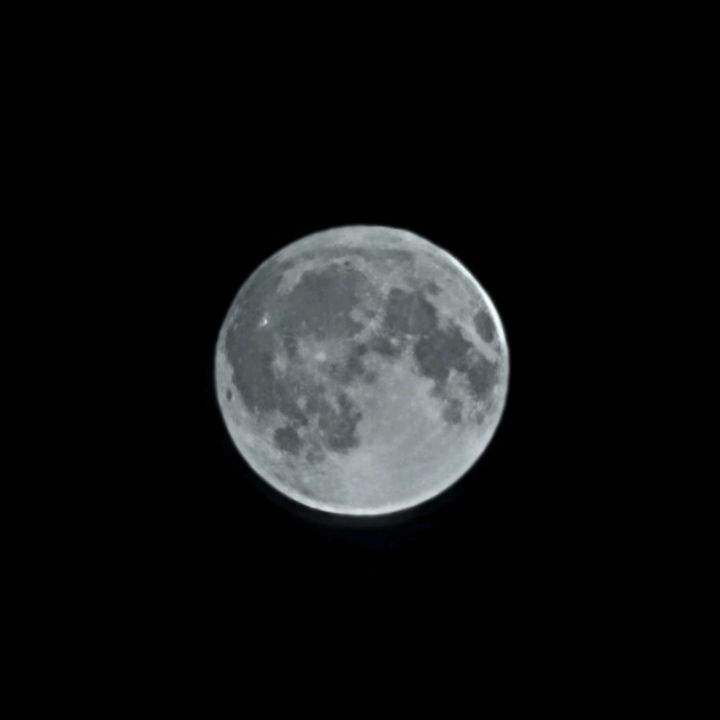 아무거나 보거나 말거나