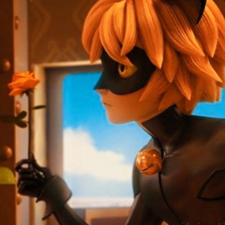 ~𝐀𝐝𝐫𝐢𝐞𝐧~🐈‍⬛💕